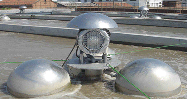 如何根據(jù)西瑪電機(jī)的外表來(lái)檢查防護(hù)等級(jí)的一致性？