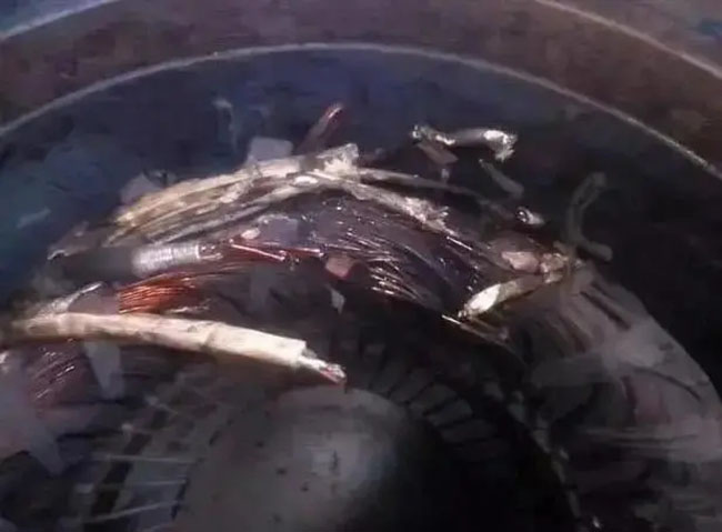 帶熱繼電器保護(hù)的電機(jī)頻繁燒毀的原因是什么？